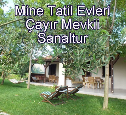 Mine tatil evleri sanaltur